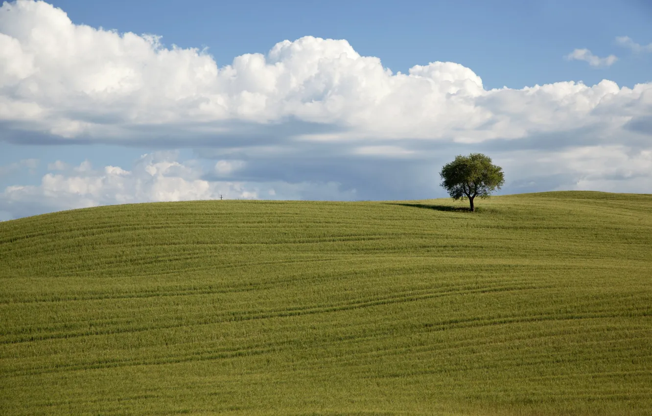 Photo wallpaper green, field, clouds, tree, countryside, farm, farmland, countryside scene