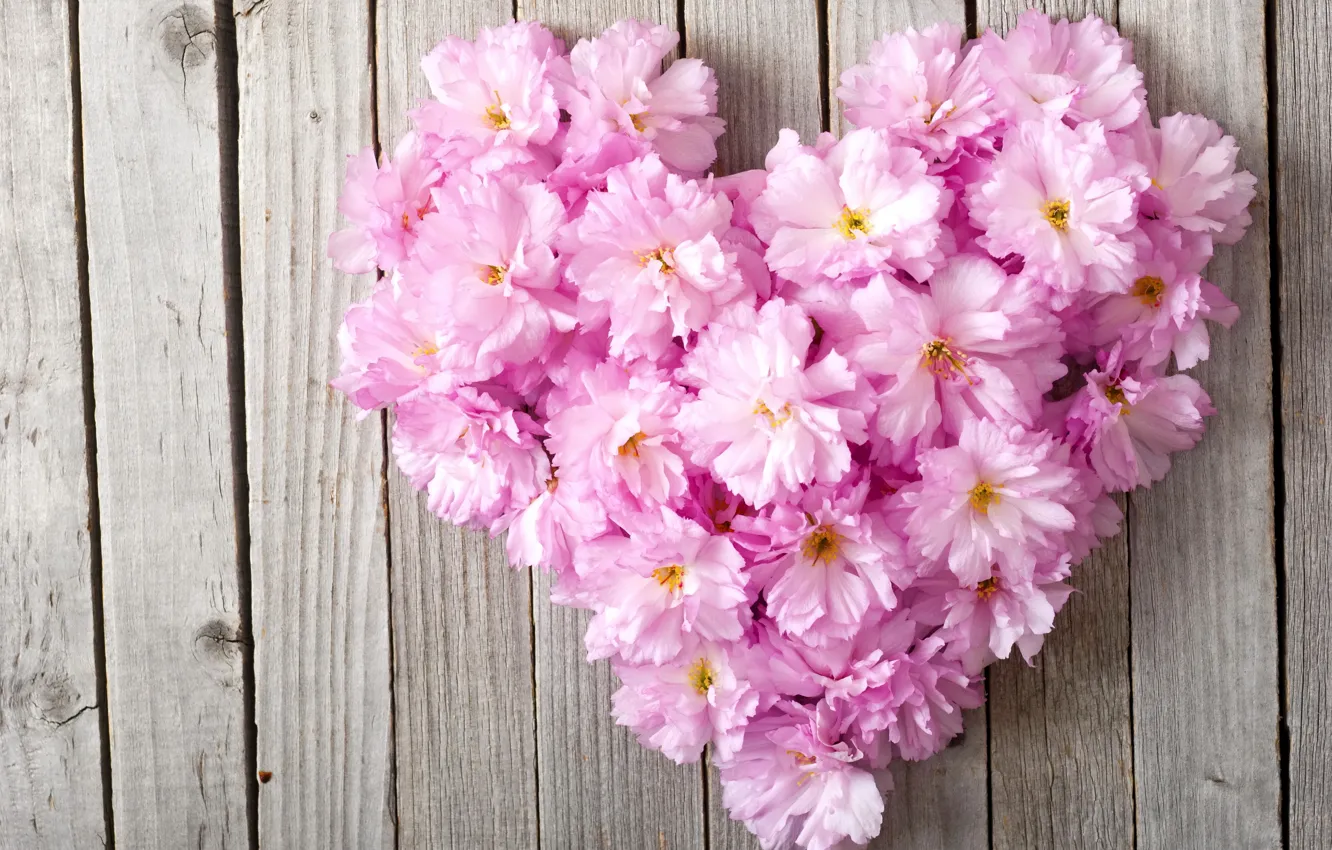 Photo wallpaper flowers, heart, love, heart, pink, floral
