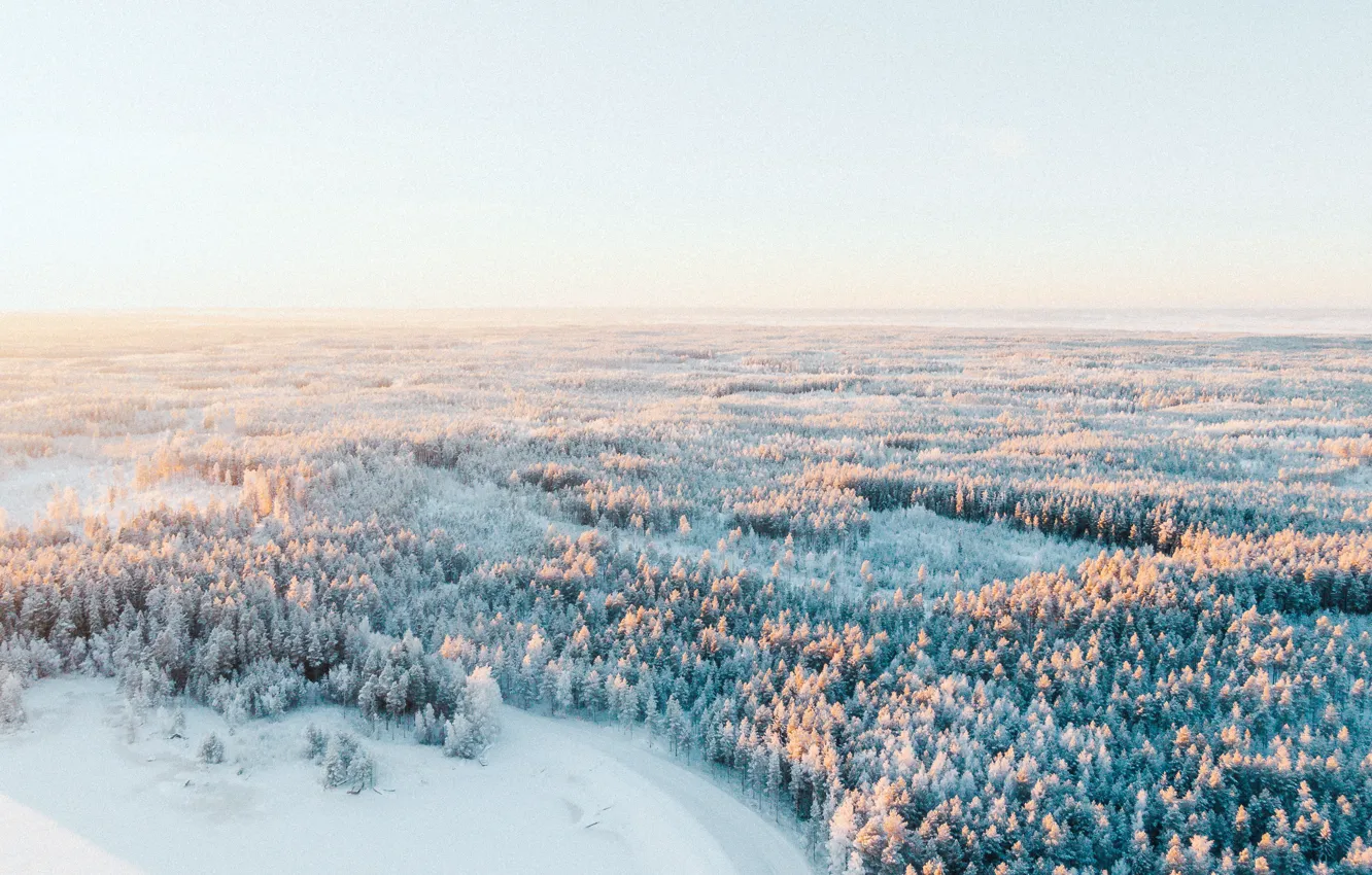 Photo wallpaper landscape, wood, winter, snow, sunlight, Joni Kuusisto
