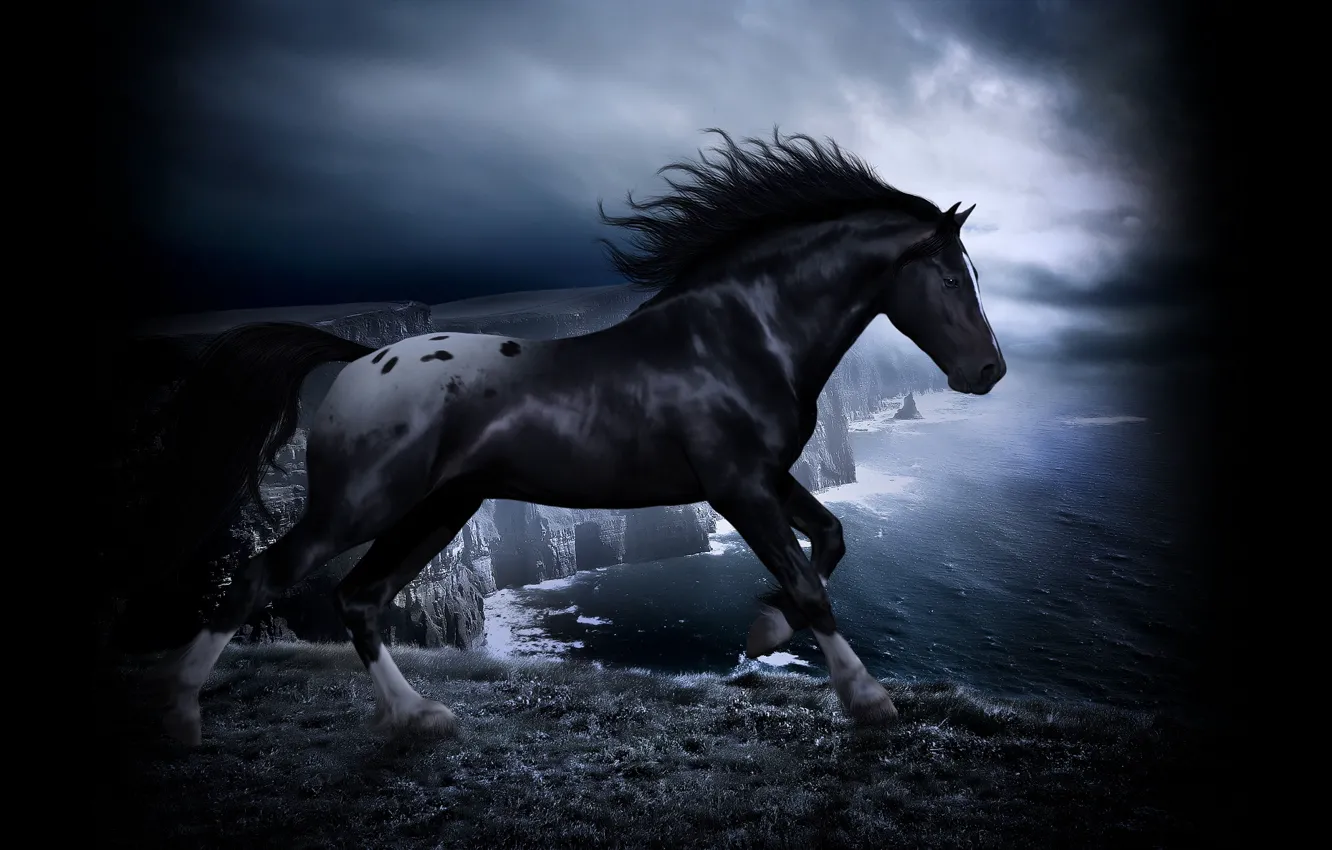 Photo wallpaper sea, open, rocks, horse, mane