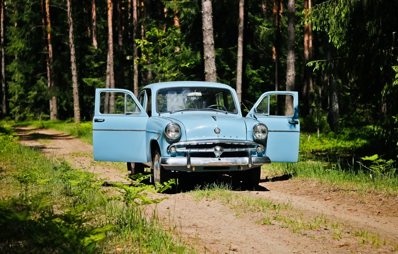 Photo wallpaper USSR, USSR, 1958, Forest, Moskvich 407, Moskvich 402, Moskvich 407