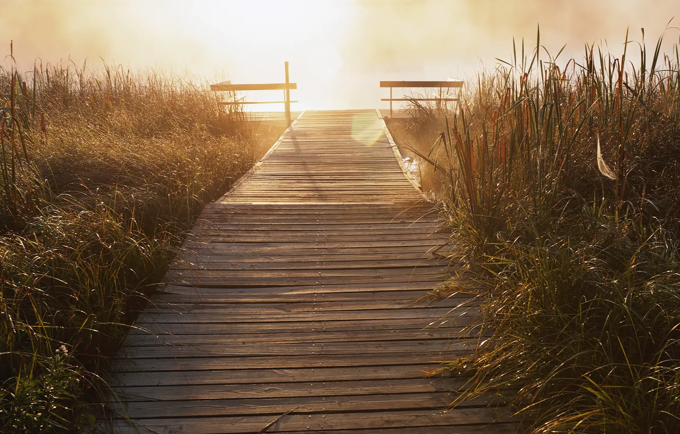 Photo wallpaper grass, river, bridges