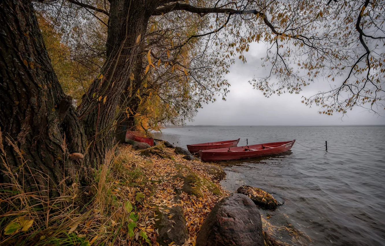 Photo wallpaper autumn, trees, landscape, nature, lake, stones, foliage, boats