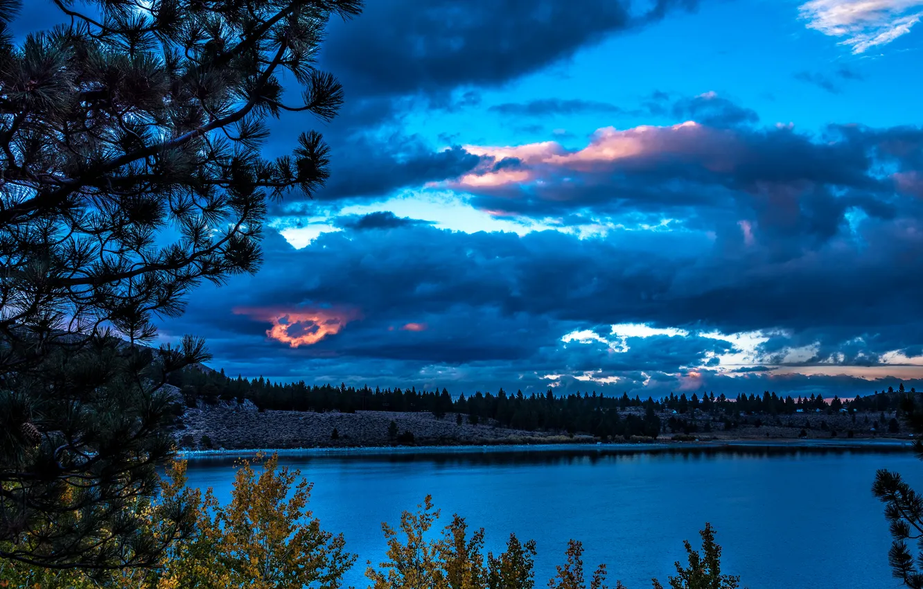 Photo wallpaper autumn, trees, river, the evening, CA, USA, June Lake