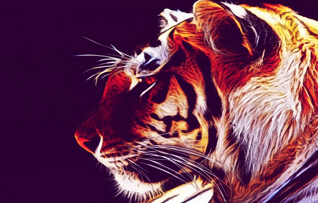 Photo wallpaper tiger, style, background, Wallpaper, ubuntu