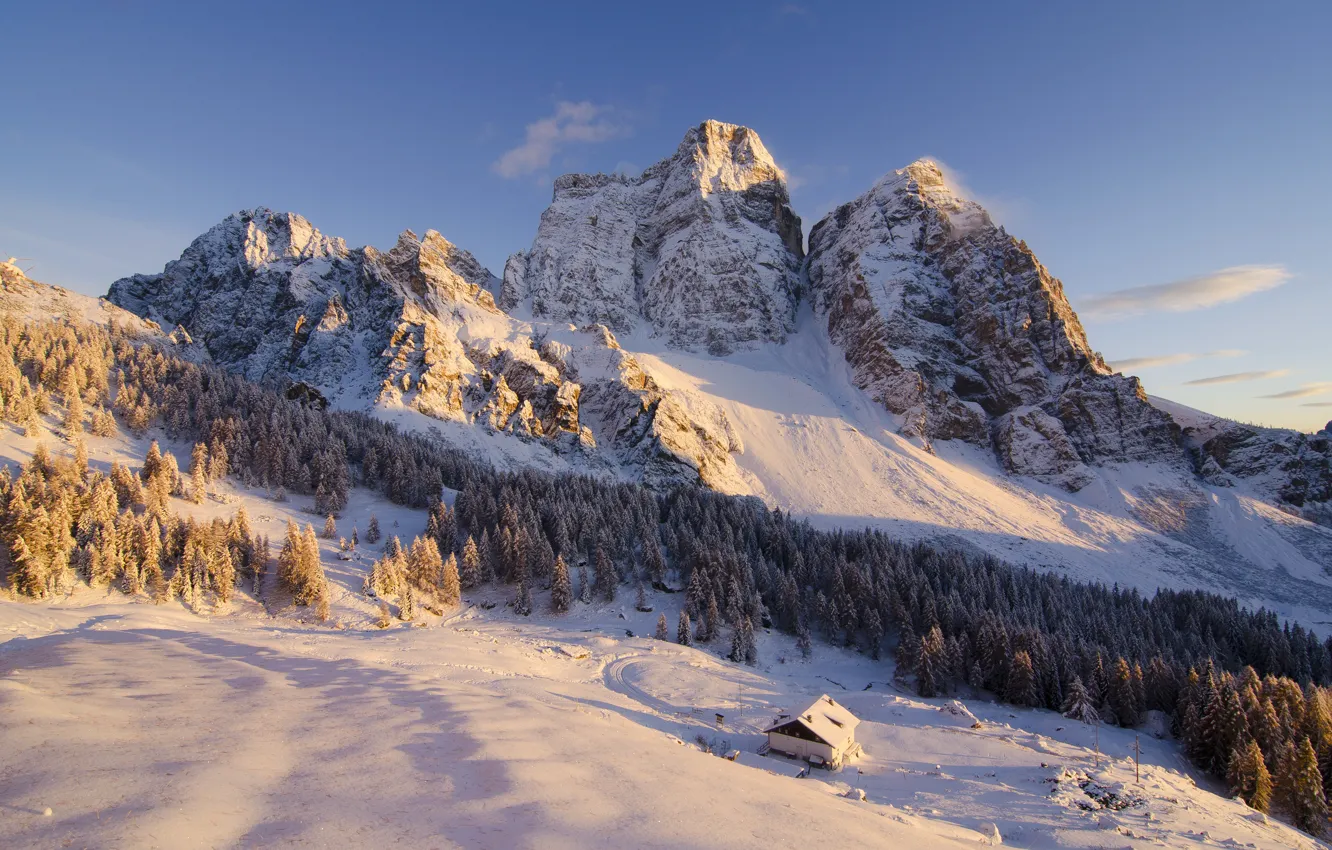 Photo wallpaper winter, trees, landscape, mountains, nature, house