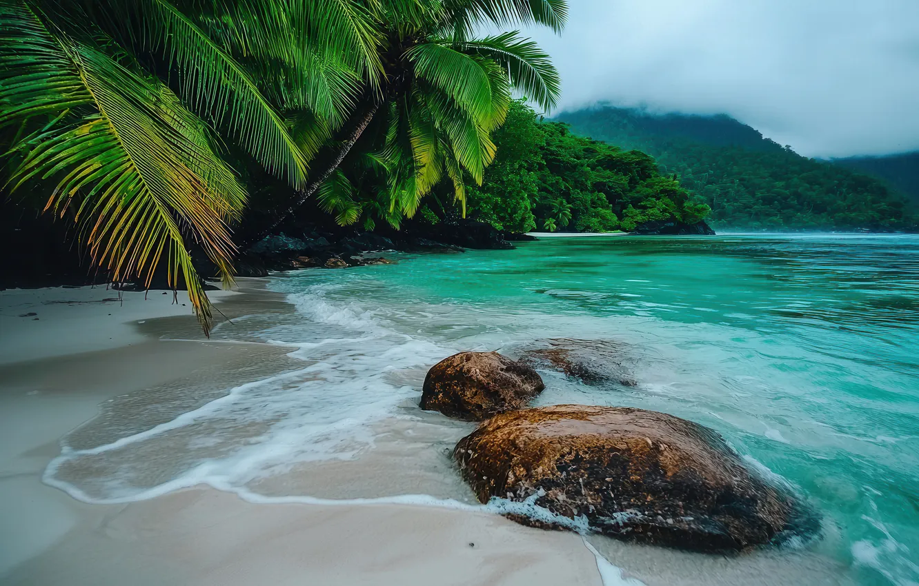 Photo wallpaper sand, sea, wave, beach, branches, fog, tropics, stones