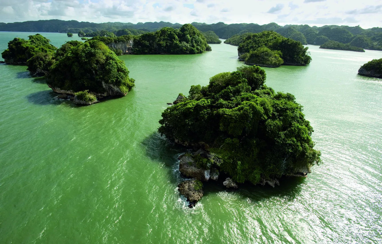 Photo wallpaper greens, water, island, continents, sushi