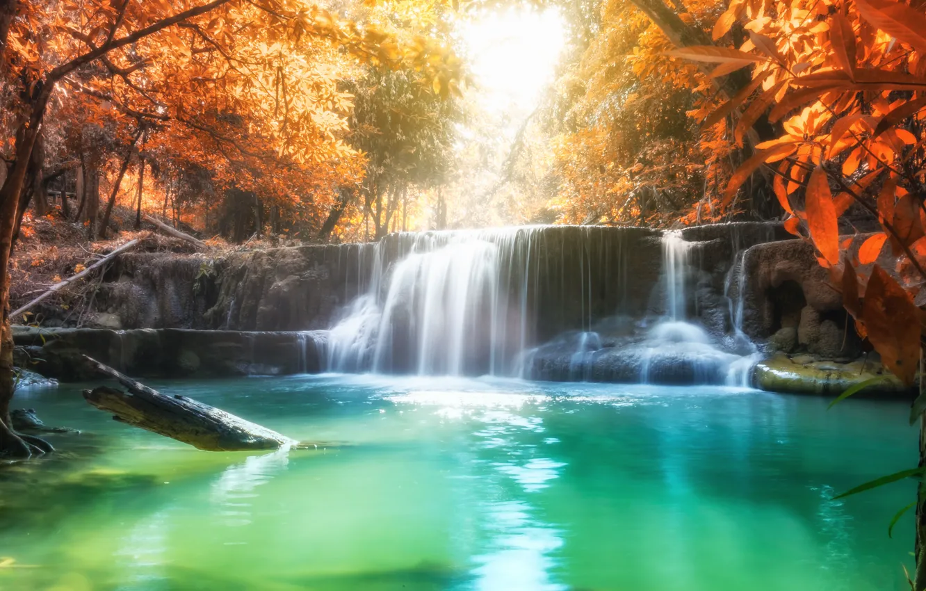 Photo wallpaper autumn, forest, landscape, river, rocks, waterfall, forest, river