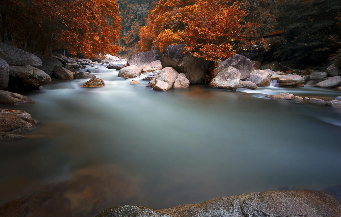 Photo wallpaper autumn, forest, nature, river, stones