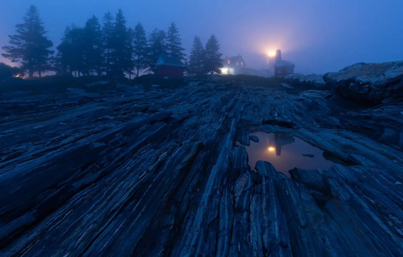 Photo wallpaper light, trees, night, fog, blue, stones, rocks, shore