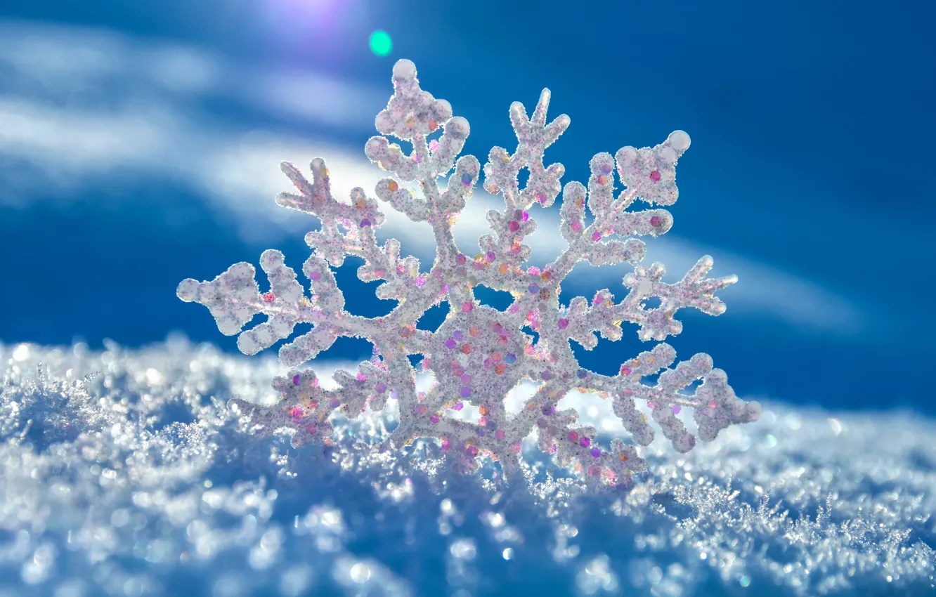 Photo wallpaper snow, snowflake, Ukrainki