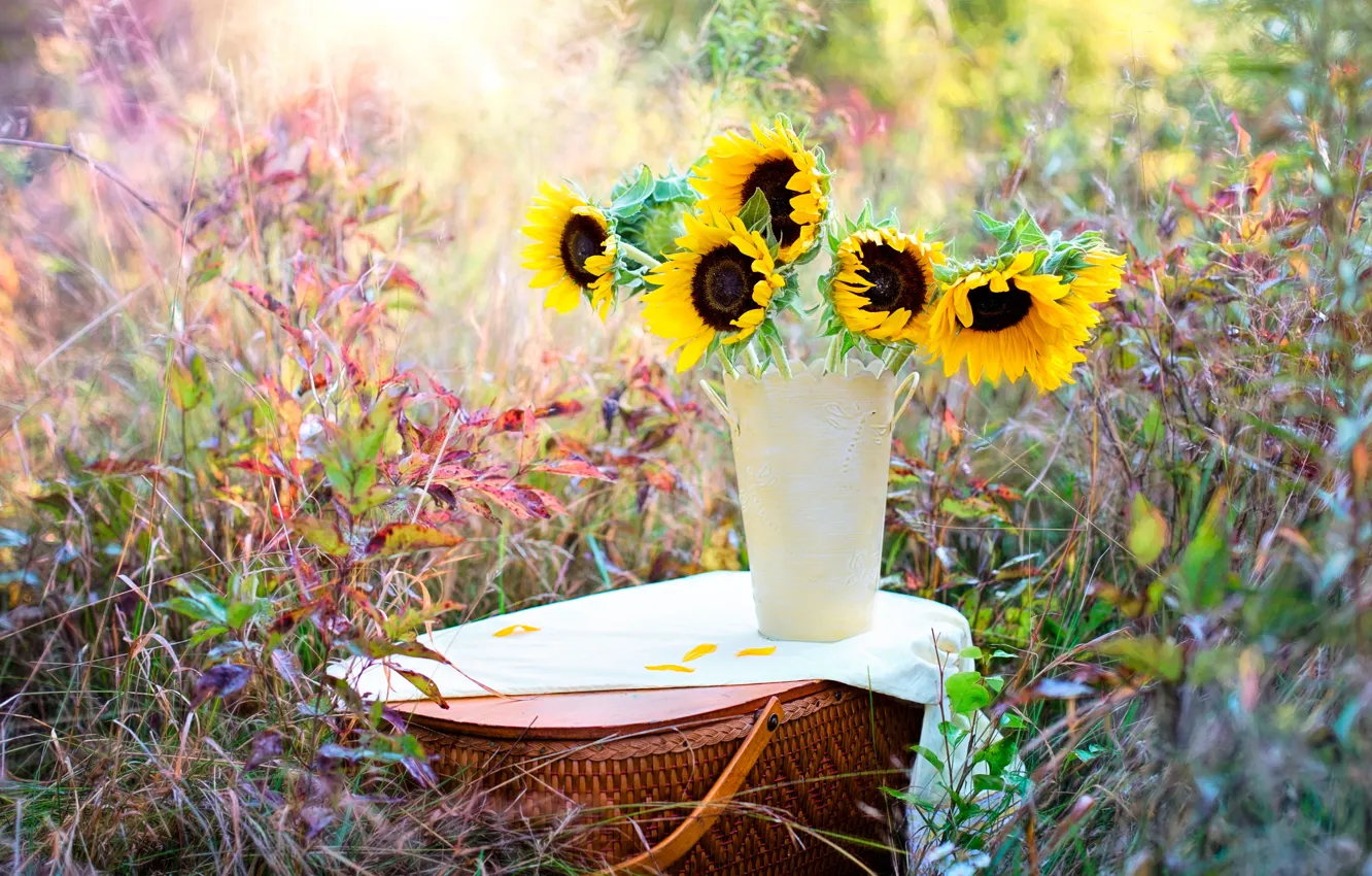 Photo wallpaper grass, sunflowers, nature, basket, vase, bokeh