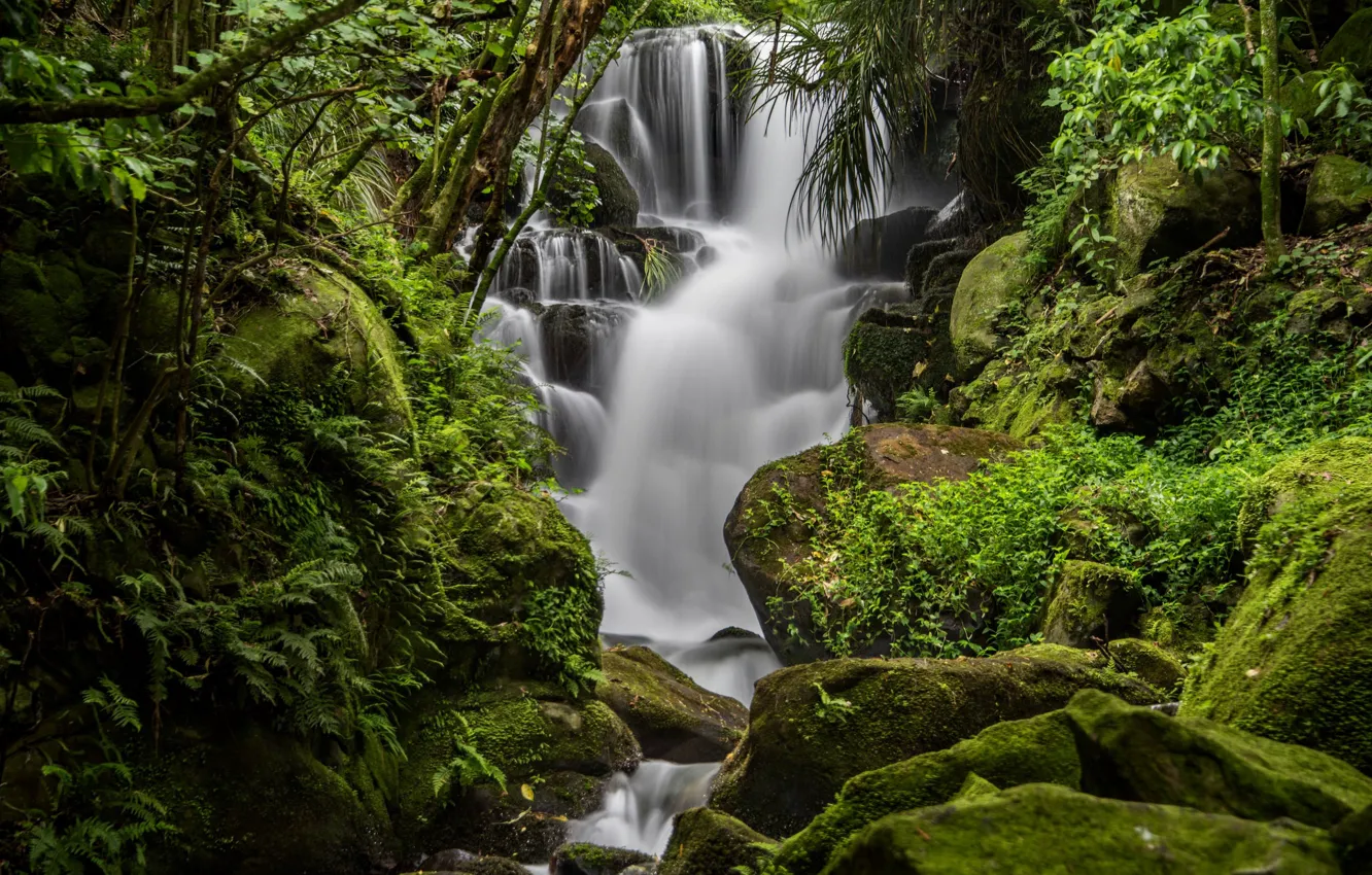 Photo wallpaper water, green, stones, waterfall, moss