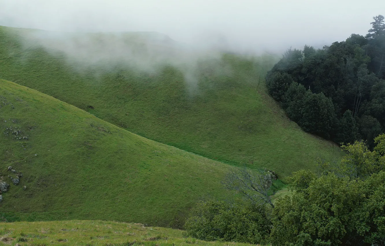 Photo wallpaper green, fog, hills