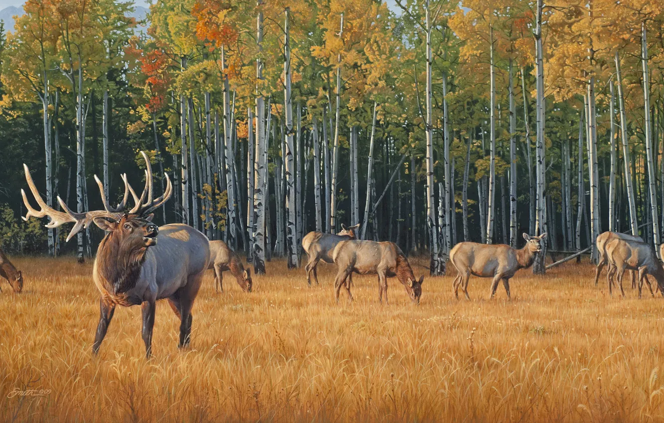 Photo wallpaper autumn, yellow grass, deer, painting, the herd, autumn forest, Daniel Smith, Midas Touch