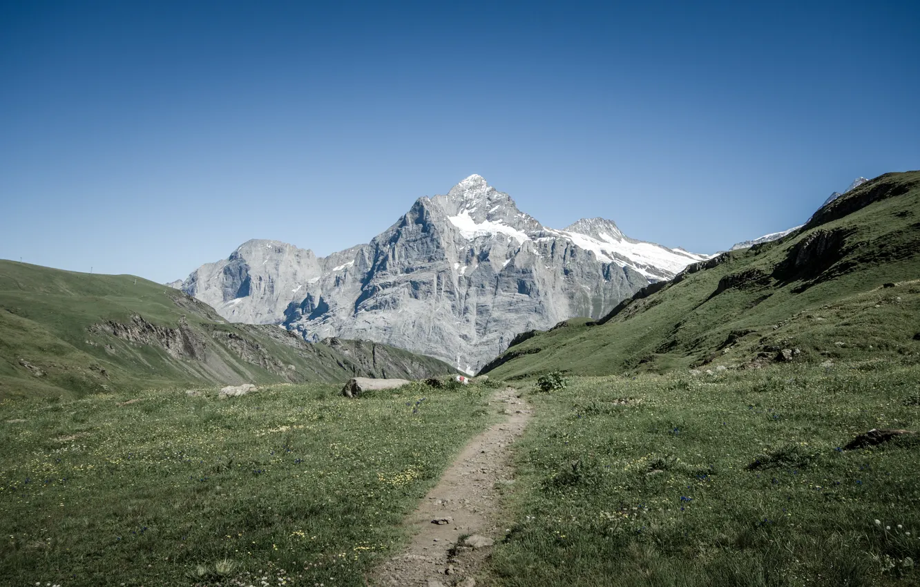 Photo wallpaper landscape, mountains, nature, path, Switzerland, Grindelwald, the Bachalpsee near the First and Waldspitz mountains