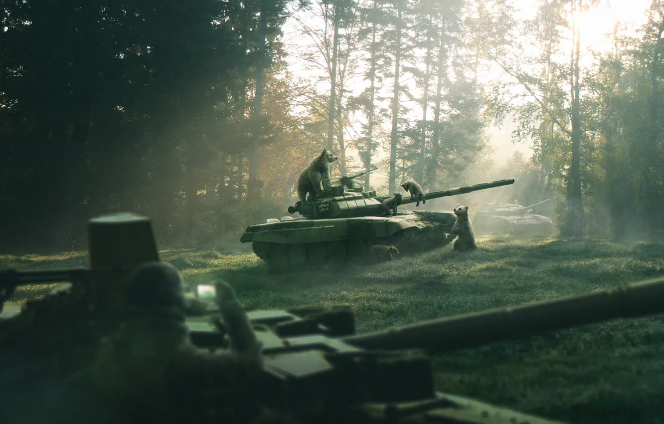 Photo wallpaper forest, nature, weapons, figure, morning, bear, art, tank