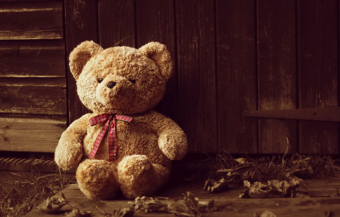 Photo wallpaper one, toy, bear
