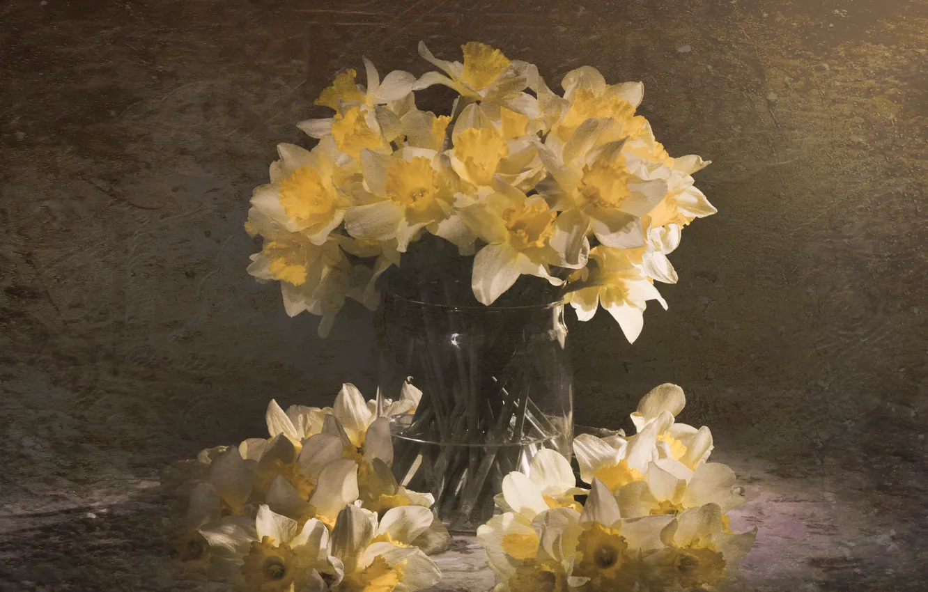 Photo wallpaper flowers, yellow, still life, daffodils