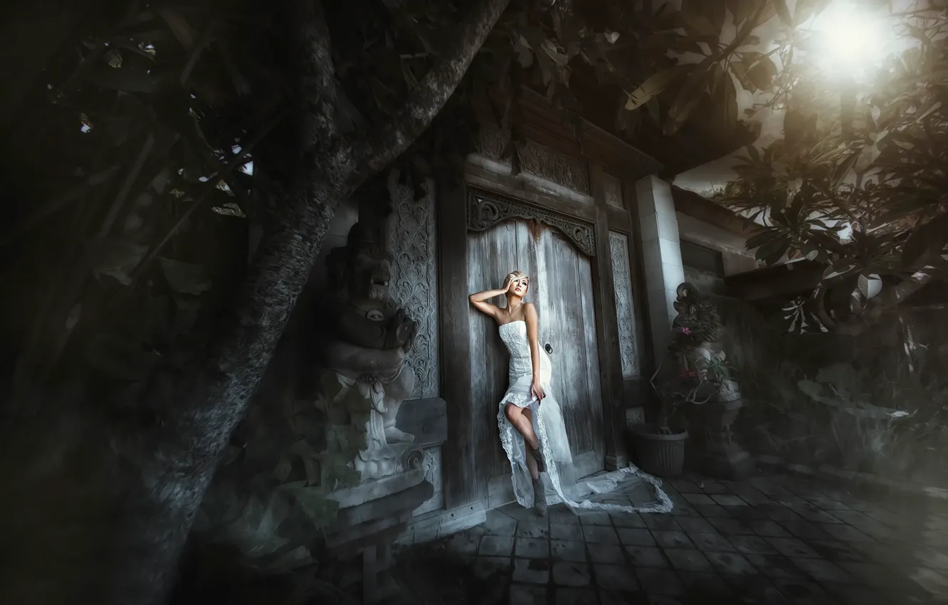 Photo wallpaper girl, gate, dress, East, east style, The Gate