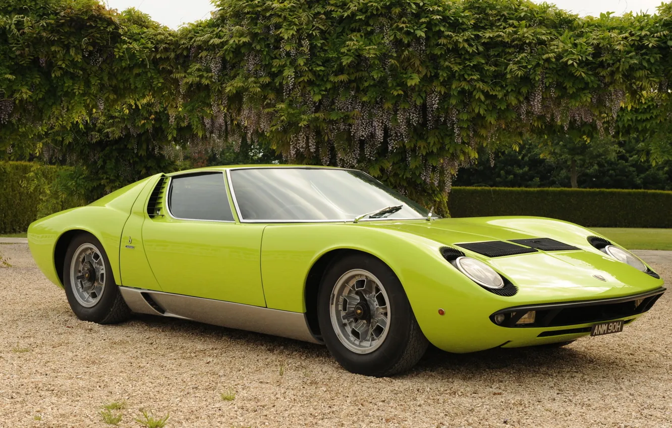 Photo wallpaper green, lights, Lamborghini, 1969, supercar, the bushes, the front, Miura