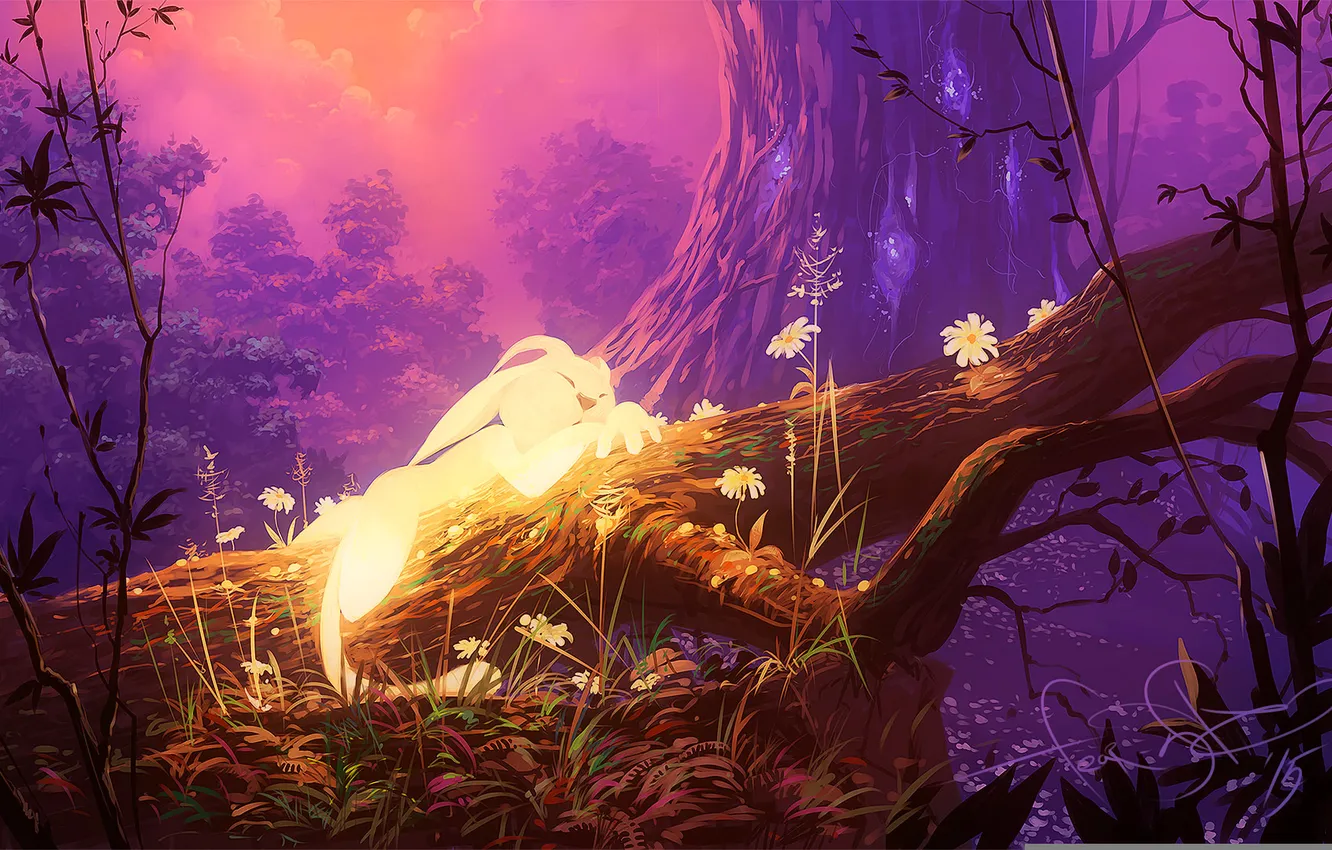 Photo wallpaper forest, trees, art, Ori And The Blind Forest, Ori