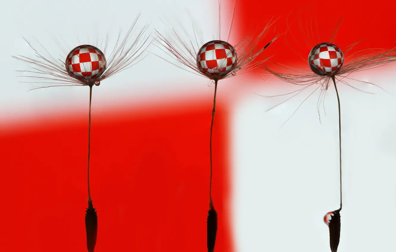 Photo wallpaper abstraction, color, form