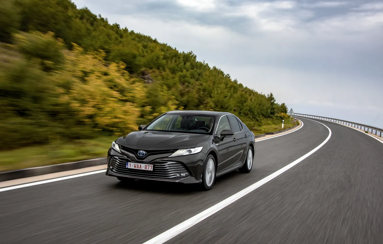 Photo wallpaper vegetation, speed, slope, Toyota, sedan, Hybrid, Camry, 2019