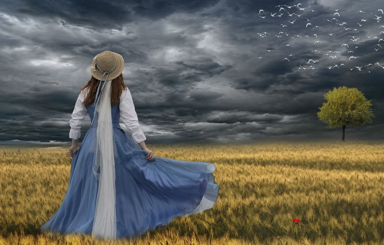Photo wallpaper the sky, girl, trees, clouds, back, hat, dress