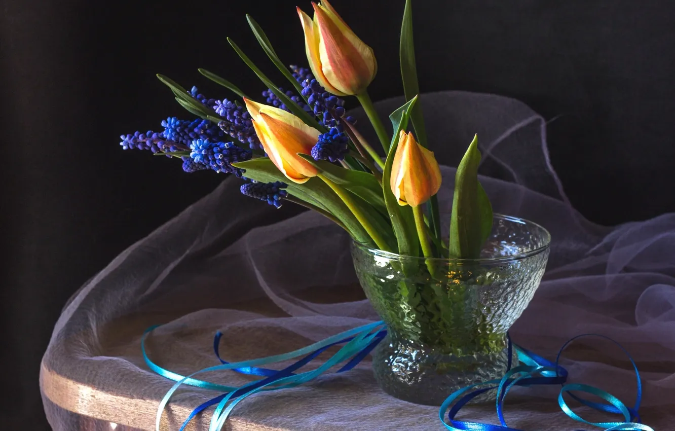 Photo wallpaper tape, tulips, Muscari