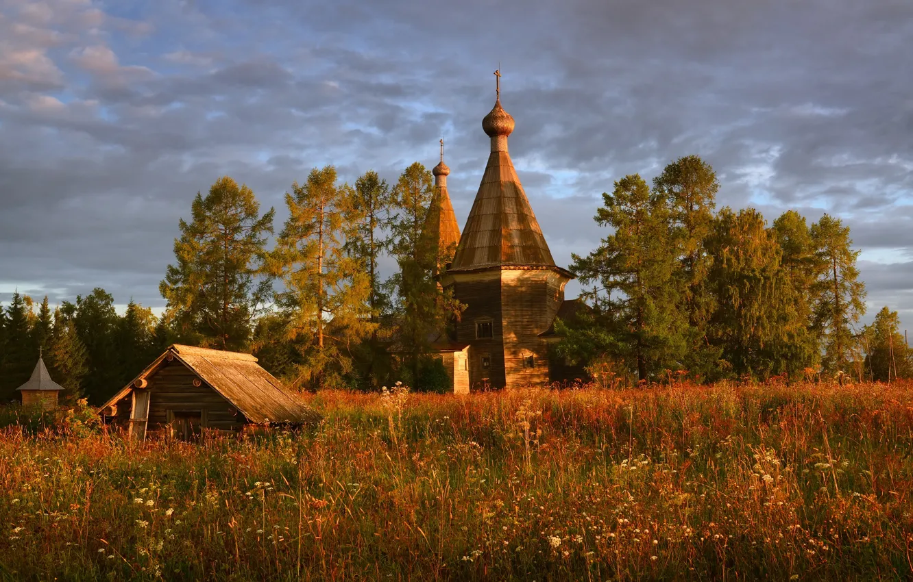 Photo wallpaper field, Russia, architecture, pine, wooden architecture