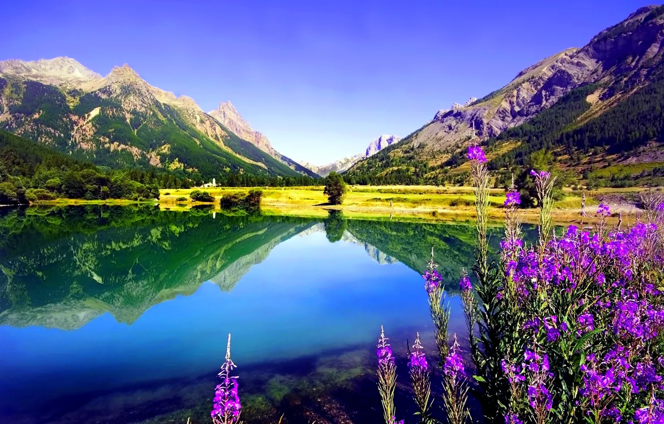 Photo wallpaper the sky, flowers, mountains, lake