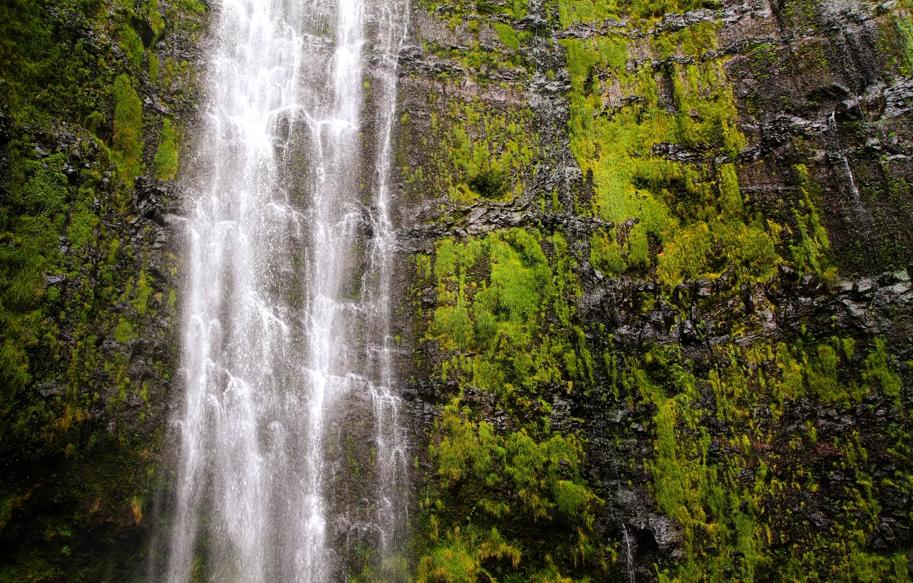 Photo wallpaper waterfall, Hawaii, USA, USA, Hawaii, Haleakala national Park, Maui, Haleakalā National Park