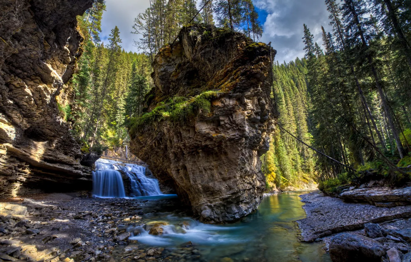 Photo wallpaper forest, trees, nature, river, rocks