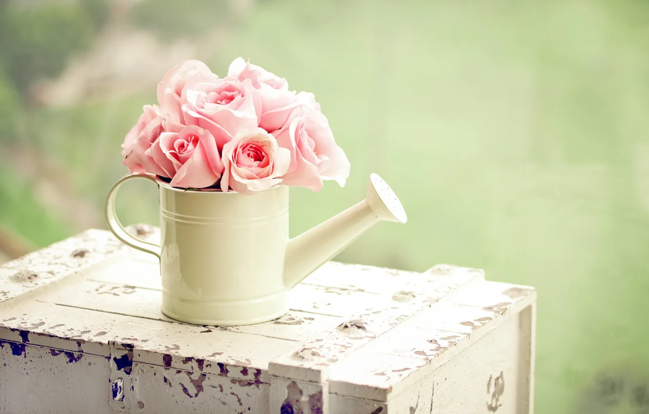 Photo wallpaper greens, flowers, roses, lake, pink