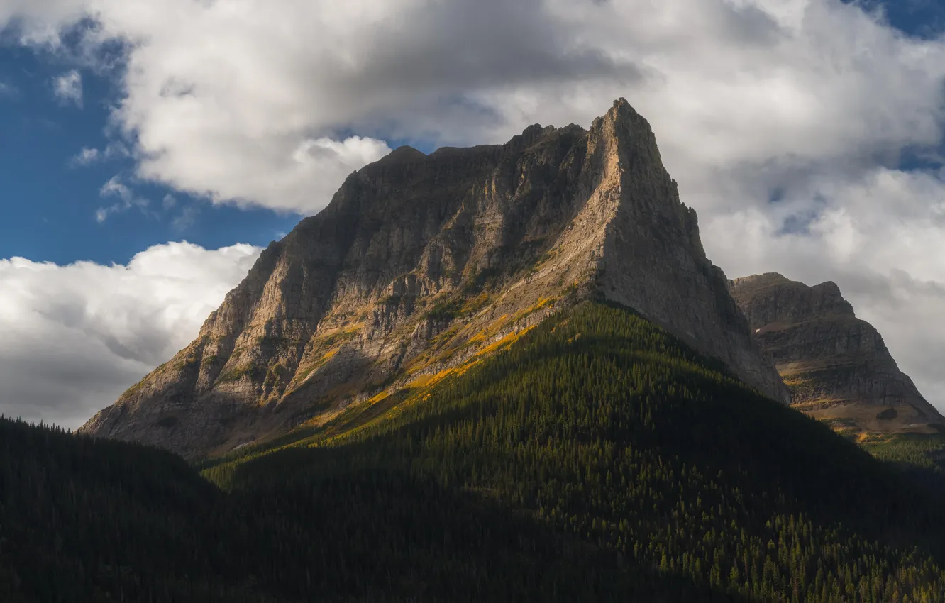 Photo wallpaper cliff, clouds, forest, Glacier National Park, landscape, nature, Montana