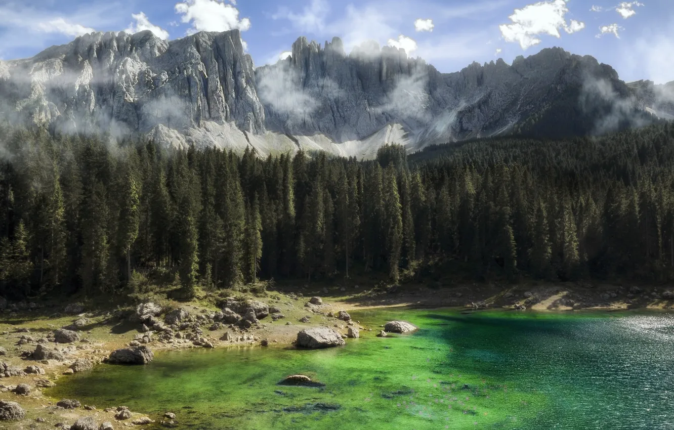 Photo wallpaper forest, mountains, lake, spruce forest