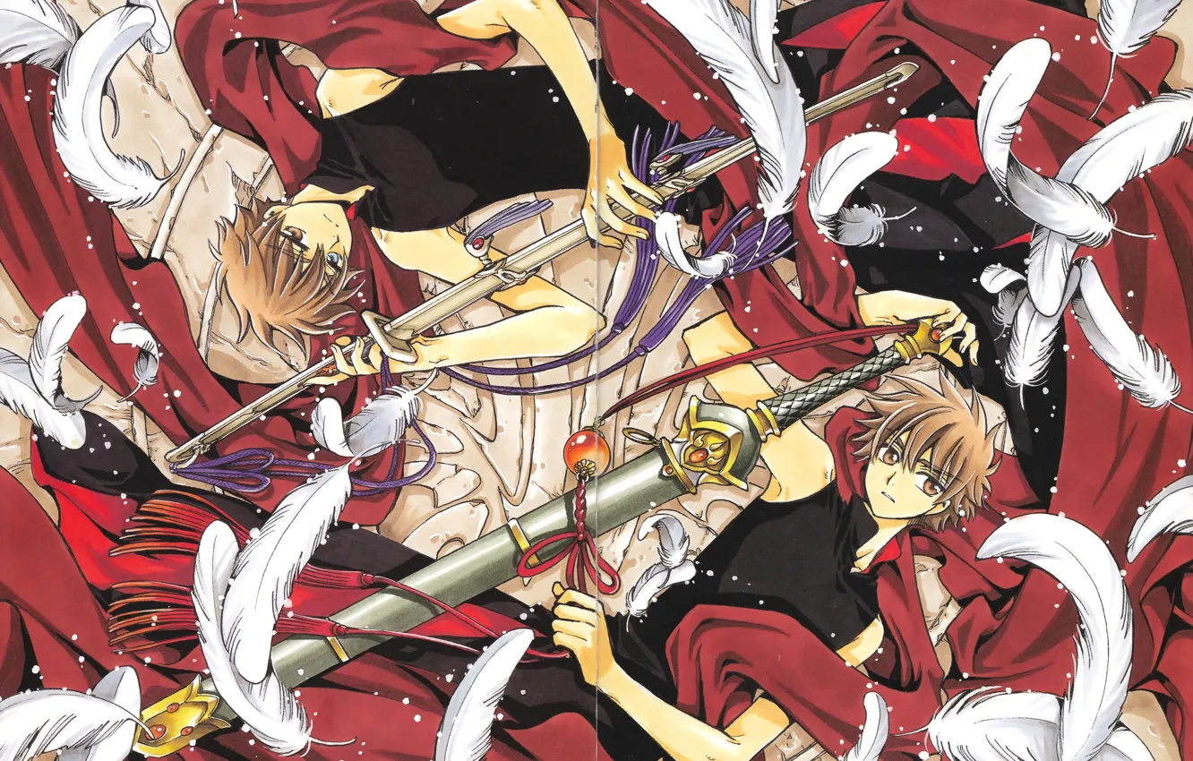 Photo wallpaper sakura, Lee, Tsubasa Chronicle