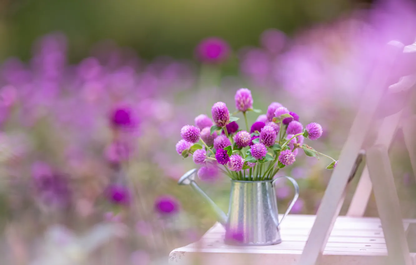 Photo wallpaper flowers, bouquet, clover