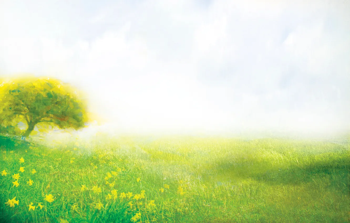 Photo wallpaper summer, grass, trees, flowers, nature, glade