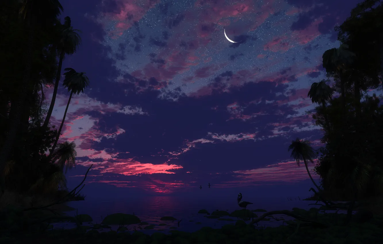 Photo wallpaper the sky, sunset, the moon