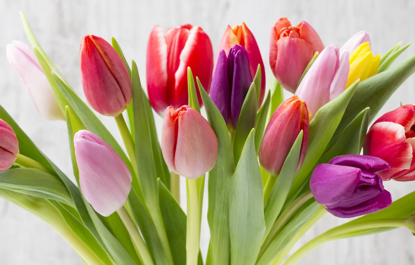 Photo wallpaper flowers, bouquet, colorful, tulips, fresh, wood, flowers, beautiful