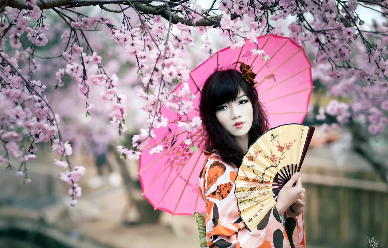 Photo wallpaper look, girl, style, Asian