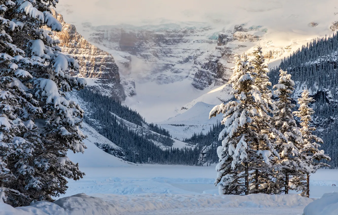 Photo wallpaper winter, snow, trees, mountains, lake, ate, Canada, Albert