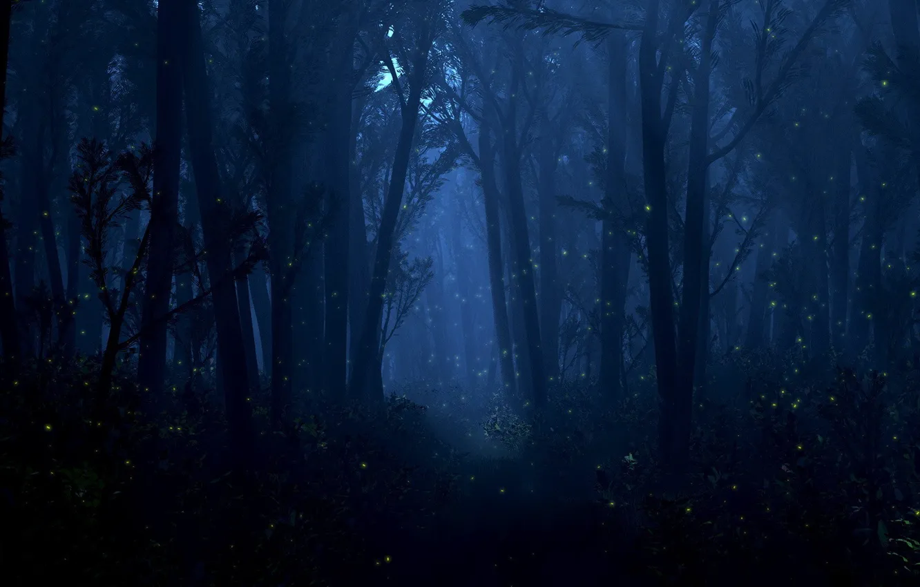 Photo wallpaper forest, light, trees, night, fireflies, lights