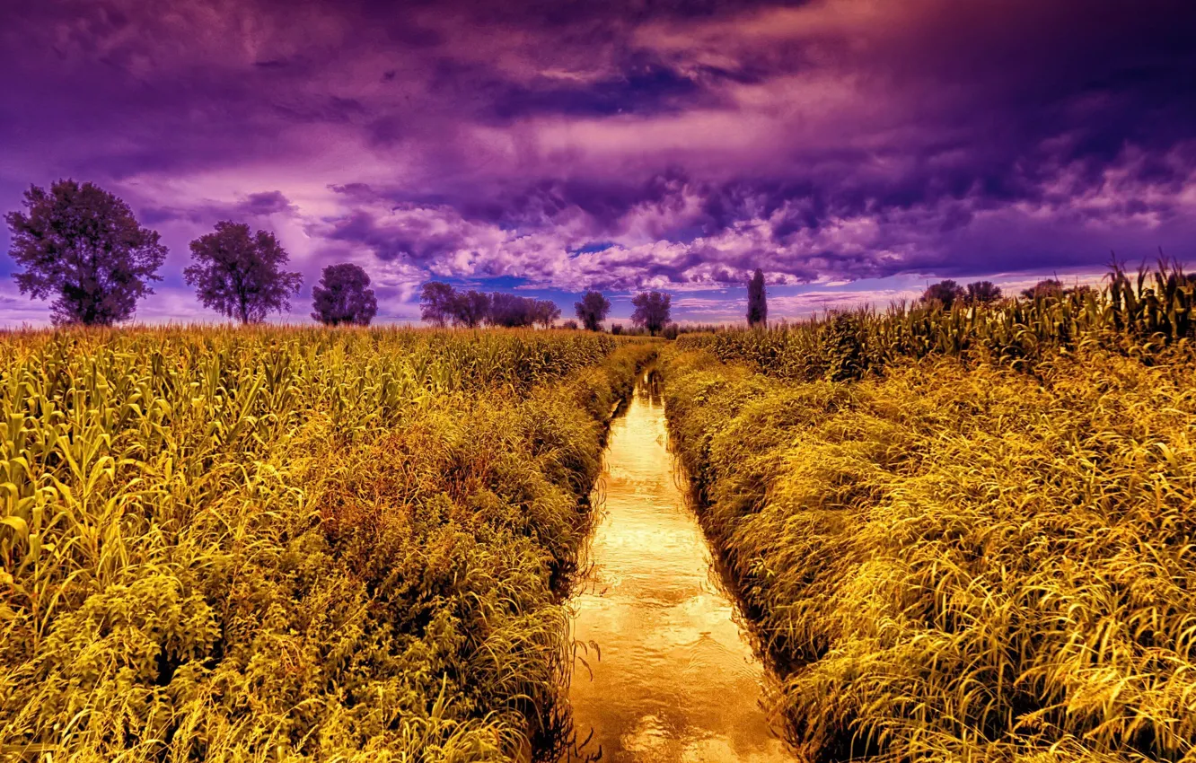 Photo wallpaper field, the sky, nature, color
