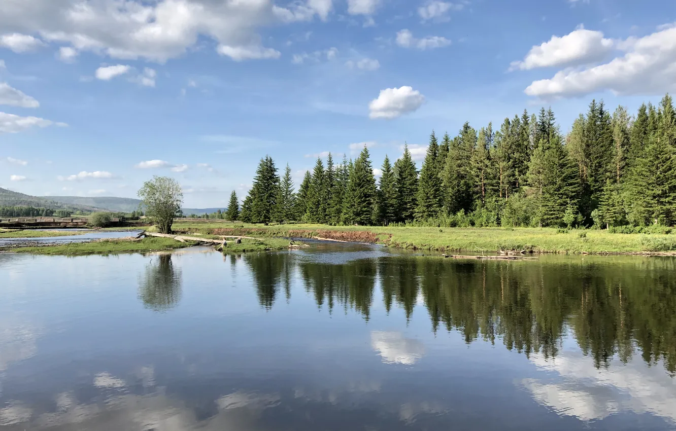 Photo wallpaper forest, the sky, clouds, trees, landscape, nature, lake, shore
