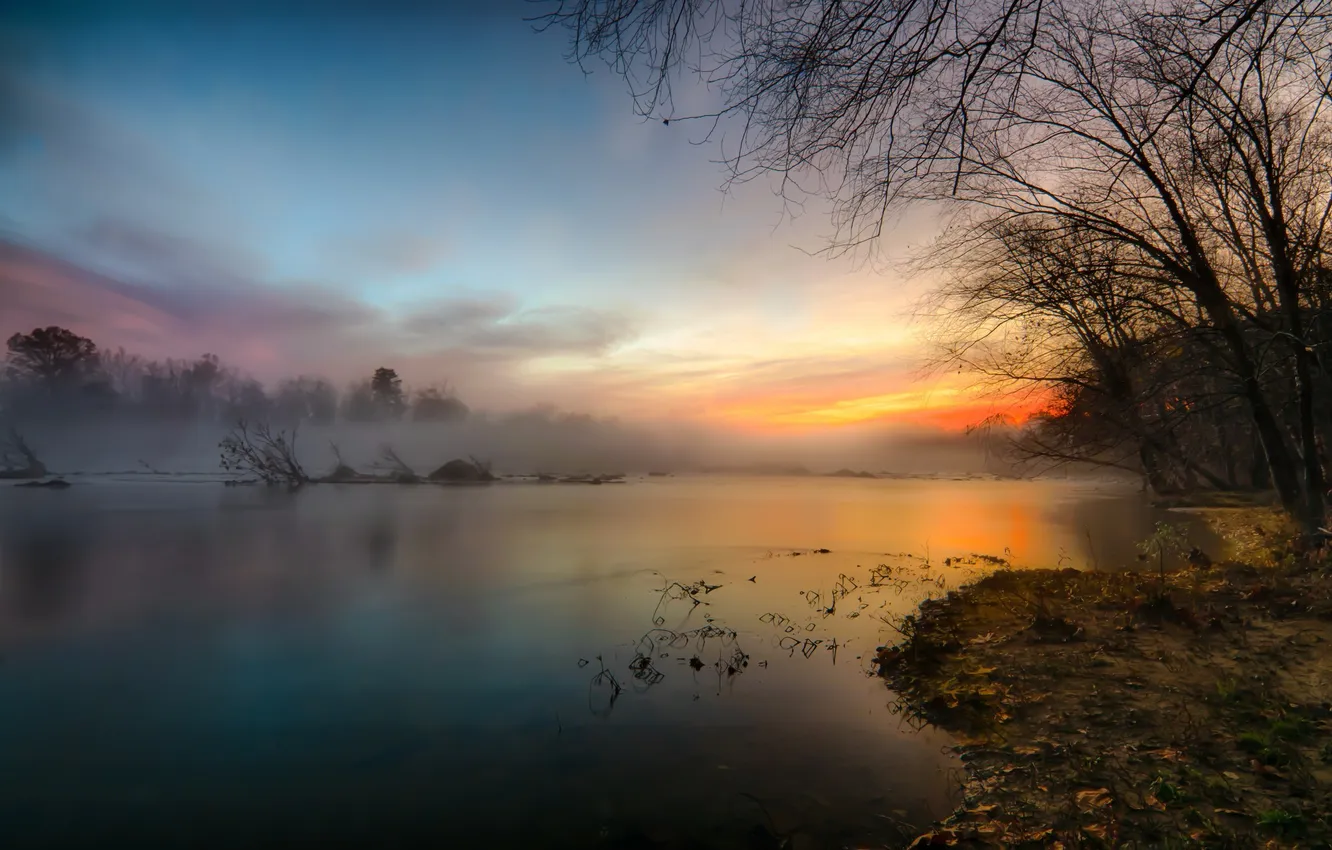 Photo wallpaper forest, the sky, grass, clouds, trees, landscape, sunset, nature