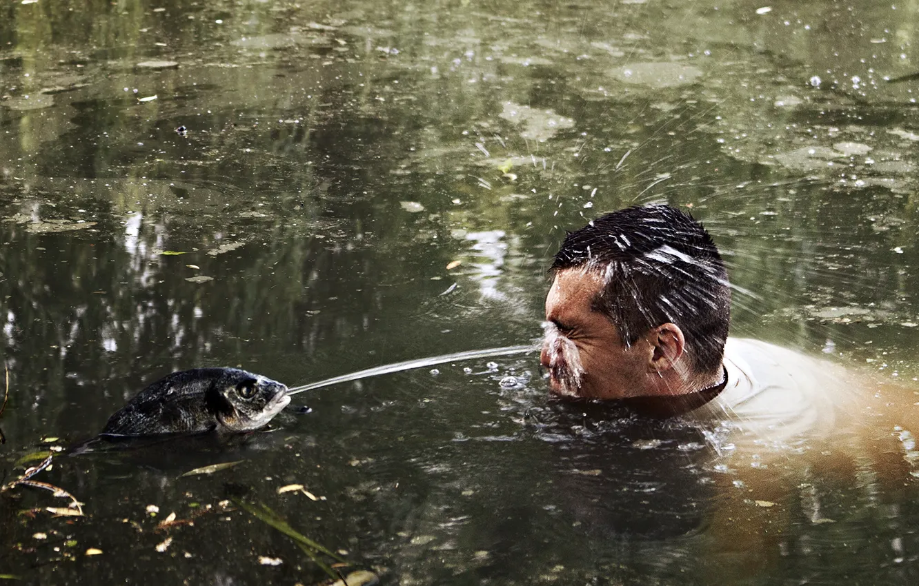 Photo wallpaper water, fish, pond, fish, male, lake, sushi, sushi